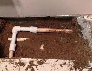 温县测漏水哪家好