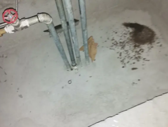 温县卫生间测漏水价格明细