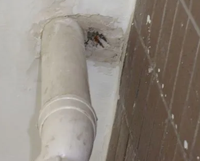 温县漏水检测哪家好